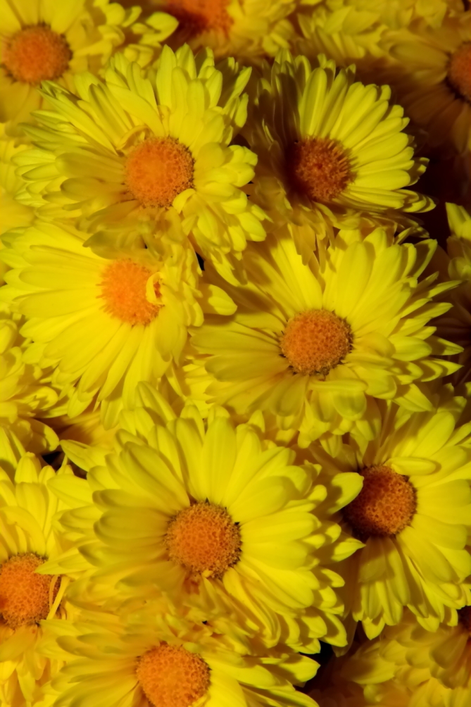 2010 10 23 IMG 13334e